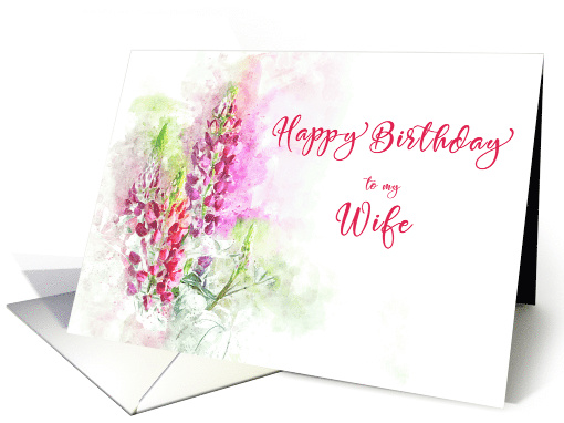 Happy Birthday for Wife Watercolor of Pink Lupins card (1631194)