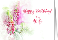 Happy Birthday for Wife Watercolor of Pink Lupins card