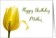 Happy Birthday Mother Yellow Tulip Flower card