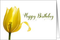 Happy Birthday Yellow Tulip Flower card