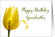 Happy Birthday Grandmother Yellow Tulip Flower card