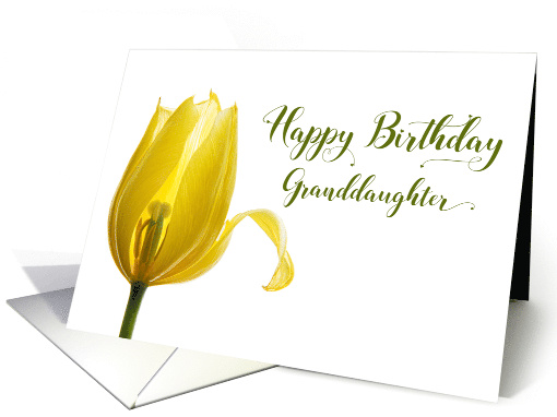 Happy Birthday Granddaughter Yellow Tulip Flower card (1676328)