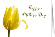 Happy Mother’s Day for Mother Yellow Tulip Flower card