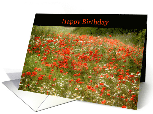 Happy Birthday Poppy Field Summer card (1680040)