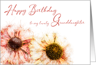 Lovely Granddaughter Birthday Two Hand Drawn Colored Helenium Flowers card