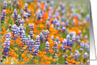 Happy Spring Wildflowers card