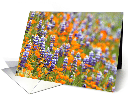 Happy Spring Wildflowers card (1897516)