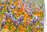 Happy Spring Wildflowers card