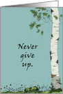 Never Give Up Birch Tree Drawing card