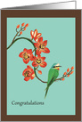 Congratulations Flower Bird Painting card