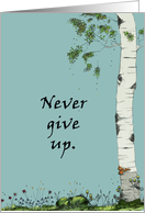 Never Give Up Birch Tree Drawing card