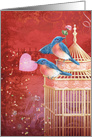 Valentine Bluebirds card