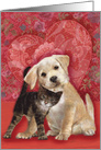 Lab Puppy and Tabby Kitten Valentine card