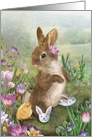 Bunny Slippers in the Garden card