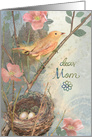 Bird and Nest with Eggs, Mother’s Day for Mom card