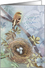 Bird and Nest with Eggs, Finch on Lace Background, Mother’s Day card