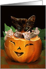 Pumpkin JackOLantern with Kitten and Mice Halloween card