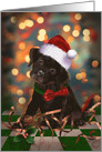 Puppy Dog Black Lab Warm Holiday Wishes card