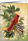 Christmas Bouquet with Cardinal Bird, Holly, Ivy, and Pine card