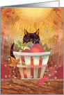 Thanksgiving Cat with Sun and Harvest Basket card