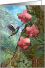 Hummingbird Orchid Rainforest Blank Note card