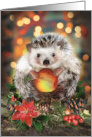 Christmas Hedgehog with Apple card