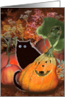 Kitty Cat Kitten and Scary Jack-O-Lantern Pumpkin Halloween card