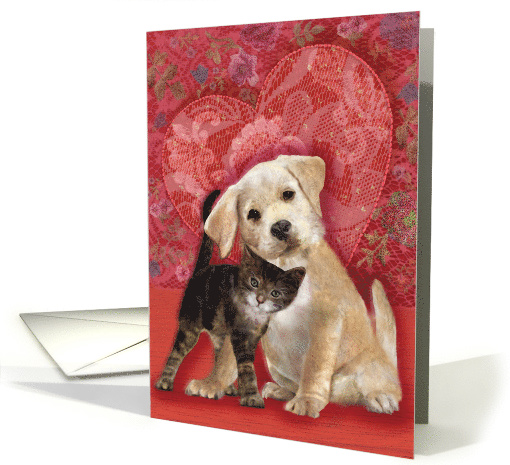 Lab Puppy and Tabby Kitten Valentine card (1510084)