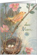 Bird and Nest with Eggs, Mother’s Day for Mom card