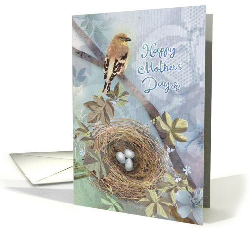 Bird and Nest with Eggs, Finch on Lace Background, Mother's Day card