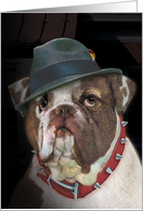 Bulldog with Fedora...