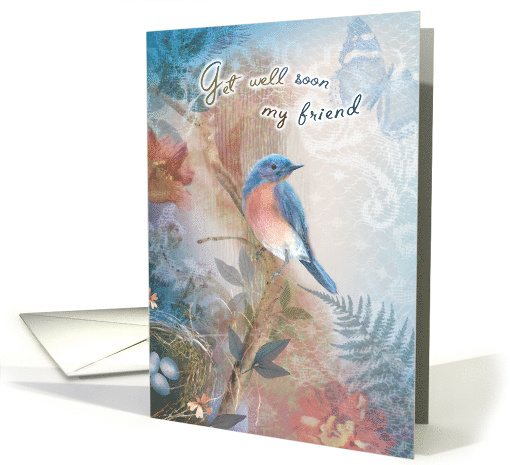 Bluebird and Nest Get Well My Friend card (1534760)