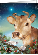 Christmas Guernsey Cow and Doves card