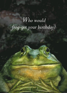 Frog Face Birthday