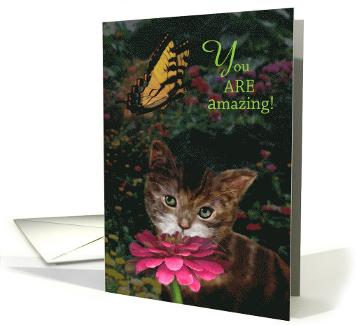 Kitten and Butterfly You Are Amazing card (1577362)