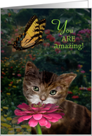 Kitten and Butterfly You Are Amazing card