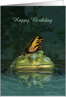 Frog and Butterfly Pond card