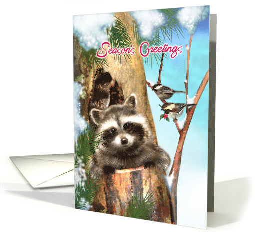Season's Greeting Raccoon and Chickadee Birds card (1580214)