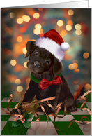 Puppy Dog Black Lab Warm Holiday Wishes card
