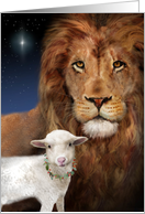 Christmas Lion and Lamb card