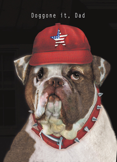 Dog Bulldog American...