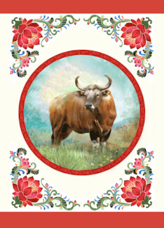 Year of the Ox...