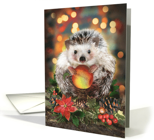 Christmas Hedgehog with Apple card (1699116)