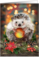 Christmas Hedgehog with Apple card