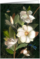Magnolia Blossoms Floral Botanical card