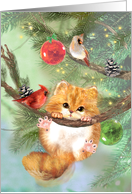 Kitty Cat Kitten in a Christmas Tree with Cardinal Birds card