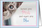 Siamese Cat Peeks around corner with Pink Nose and Blue Eyes Birthday card