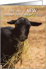 Funny New Mower for Father’s Day Goat Eating Hay card