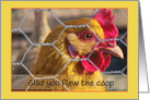 Funny Chicken Behind Wire Fence Flew the Coop Get Well card