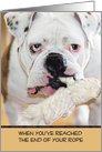 Bulldog with Spotted Ears Biting Rope in Mouth Encouragement card